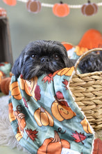 Lade das Bild in den Galerie-Viewer, Cosy Pumpkin Patch - Kuscheldecke
