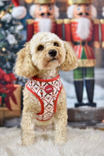 Lade das Bild in den Galerie-Viewer, Nutcracker Elegance - Geschirr
