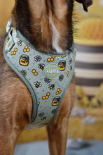 Lade das Bild in den Galerie-Viewer, Honey Bloom- Geschirr
