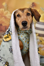 Lade das Bild in den Galerie-Viewer, Honey Bloom - Decke
