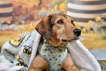 Lade das Bild in den Galerie-Viewer, Honey Bloom - Decke
