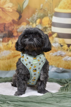 Lade das Bild in den Galerie-Viewer, Honey Bloom- Geschirr
