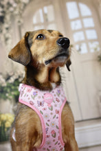 Lade das Bild in den Galerie-Viewer, Enchanted Flutter - Geschirr
