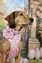 Lade das Bild in den Galerie-Viewer, Enchanted Flutter - Bow / Sailor Bow
