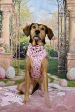 Lade das Bild in den Galerie-Viewer, Enchanted Flutter - Geschirr
