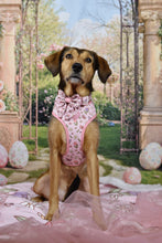 Lade das Bild in den Galerie-Viewer, Enchanted Flutter - Geschirr
