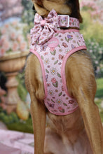 Lade das Bild in den Galerie-Viewer, Enchanted Flutter - Bow / Sailor Bow
