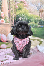 Lade das Bild in den Galerie-Viewer, Enchanted Flutter - Geschirr
