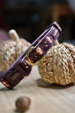 Lade das Bild in den Galerie-Viewer, Owlways Cozy - Halsband
