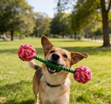 Lade das Bild in den Galerie-Viewer, Kirschen - Hundespielzeug
