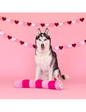 Lade das Bild in den Galerie-Viewer, Love Bug XL - Spielzeug
