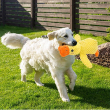 Lade das Bild in den Galerie-Viewer, Ente - Hundespielzeug groß
