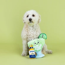 Lade das Bild in den Galerie-Viewer, Lime Lounge - Hundespielzeug

