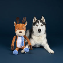 Lade das Bild in den Galerie-Viewer, XL Dashin&#39; around - Dog Toy
